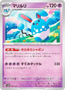 |PJ[hQ[ SVLN 004/022 }  X^[^[Zbg eX^CvFXe jtBAex