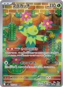 |PJ[hQ[ SV9 101/100 }Jb`  (AR A[gA) gpbN ogp[gi[Y