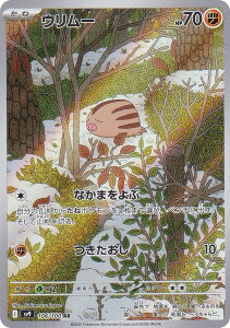 |PJ[hQ[ SV9 106/100 E[  (AR A[gA) gpbN ogp[gi[Y