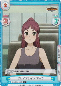 ypzReo[X BBB/001B-069S uCuiCc AL (C{ R) u[X^[pbN TVAj ECo[uCo[