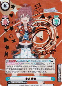 yp/TCzReo[X IMS/001B-057CSP {ʕ (CSP R{XyV) u[X^[pbN Aj ACh}X^[ VCj[J[Y