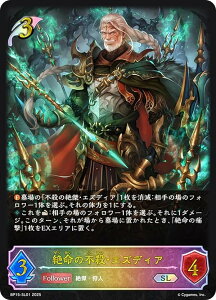 ypzVhEo[X G{ BP15-SL01 ▽̕sEEGYfBA (SL X[p[WFh) u[X^[pbN15e ⌆̎