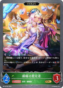 ypzVhEo[X G{ BP18-P02 ̙ (GR S[hA) u[X^[pbN 18e VssE