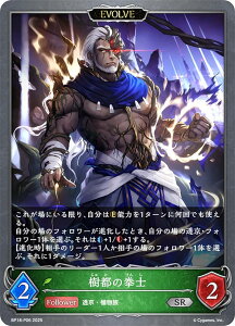 ypzVhEo[X G{ BP18-P06 šm (SR Vo[A) u[X^[pbN 18e VssE