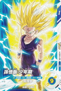 hS{[X[p[_Co[Y SDVPJ-019 сFN (PR v) VWv 2025N 11 t^