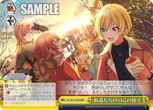 @CXV@c ISC/S81-025R ⓹炯̂̊X (RRR gvA) u[X^[pbN ACh}X^[ VCj[J[Y