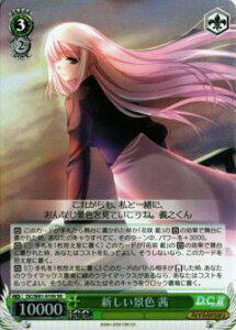 @CXV@c DC/W81-019S ViF  (SR X[p[A) u[X^[pbN T[JX 20th Anniversary