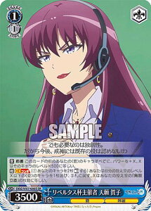 ���@�C�X�V�����@���c DBG/W87-080S ���x���^�X�t��Î� �V�� ��q (SR �X�[�p�[���A) �u�[�X�^�[�p�b�N �_�l�ɂȂ�����