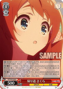 @CXV@c ZLS/W93-048 A蓹  (R A) u[X^[pbN ]rhTK xW