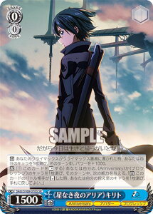 @CXV@c SAO/S100-078S sȂ̃AAtLg (SR X[p[A) u[X^[pbN Aj \[hA[gEIC 10th Anniversary