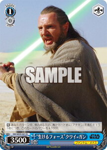 @CXV@c SW/SE39-021 gtH[XhNC=K (N m[}) v~Au[X^[ / STAR WARS