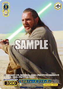 @CXV@c SW/SE39-021FOP gtH[XhNC=K (FOP tH[Xp) v~Au[X^[ / STAR WARS