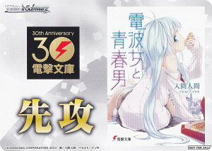 @CXV@c WS02 [U/dgƐtj] UU}[J[ u[X^[pbN d