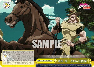 @CXV@c JJ/SE41-19 zEz[X̐lNw (N m[}) v~Au[X^[ / WW̊Ȗ` X^[_XgNZC_[X