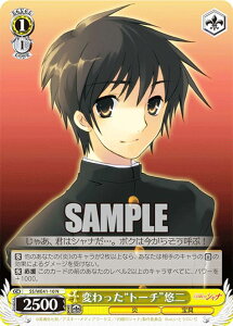 @CXV@c SS/WE41-10 ςgg[`hI (N m[}) v~Au[X^[ ܊̃Vi