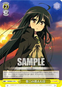 @CXV@c SS/WE41-17 Ȉ (N m[}) v~Au[X^[ ܊̃Vi