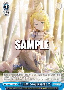 @CXV@c PJS/S109-106S o̈ӖT (SR X[p[A) u[X^[pbN vWFNgZJC JtXe[WI feat. ~N Vol.2