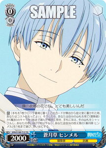 @CXV@c SFN/S108-T13  q (TD) gCAfbL ̃t[