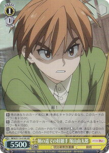 @CXV@c RKN/S115-019S ̓ł̍DG ˎRRY (SR X[p[A) u[X^[pbN 낤ɌS qQ