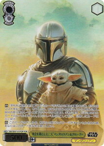 @CXV@c SW/SE47-01FOP gĉʂlh}_AO[O[ (FOP tH[Xp) v~Au[X^[ STAR WARS Vol.2