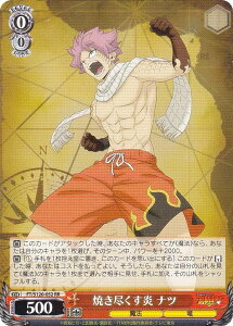 @CXV@c FT/S120-052 Ăs ic (RR _uA) u[X^[pbN FAIRY TAIL 100NNGXg