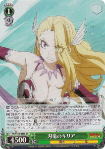 @CXV@c FT/S120-041S ñLA (SR X[p[A) u[X^[pbN FAIRY TAIL 100NNGXg