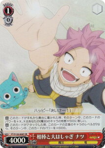 @CXV@c FT/S120-066S _Ƒ͂Ⴌ ic (SR X[p[A) u[X^[pbN FAIRY TAIL 100NNGXg