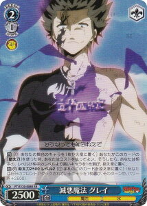 @CXV@c FT/S120-088S ň@ OC (SR X[p[A) u[X^[pbN FAIRY TAIL 100NNGXg