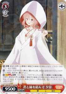 @CXV@c AMG/W121-045 NƉ [ (RR _uA) u[X^[pbN Ð_񂿂̉