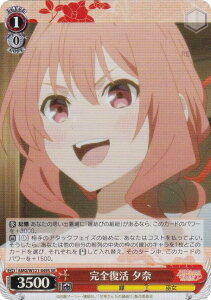 @CXV@c AMG/W121-049S S [ (SR X[p[A) u[X^[pbN Ð_񂿂̉