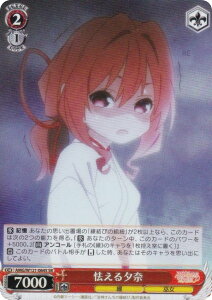 @CXV@c AMG/W121-064S [ (SR X[p[A) u[X^[pbN Ð_񂿂̉