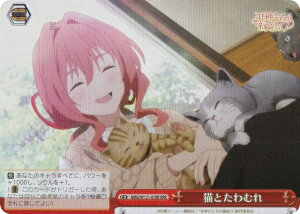 @CXV@c AMG/W121-070R LƂނ (RRR gvA) u[X^[pbN Ð_񂿂̉