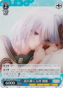 @CXV@c AMG/W121-081S hꓮV P (SR X[p[A) u[X^[pbN Ð_񂿂̉