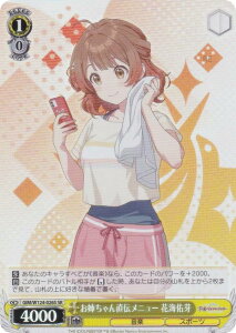 @CXV@c GIM/W124-026S o񒼓`j[ ԊCC (SR X[p[A) u[X^[pbN wACh}X^[