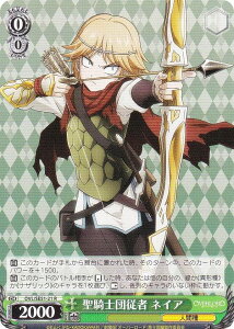 @CXV@c OVL/SE51-21 Rmc] lCA (R A) GNXgu[X^[  I[o[[h 