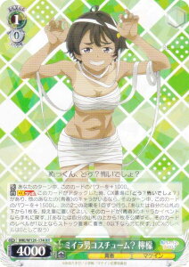 @CXV@c MKI/W126-034 ~CjRX`[H EG (RR _uA) u[X^[pbN qCI