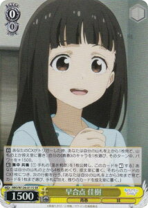 @CXV@c MKI/W126-011S _  (SR X[p[A) u[X^[pbN qCI