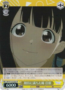 @CXV@c MKI/W126-028S ҂ɖ  (SR X[p[A) u[X^[pbN qCI