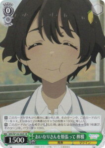 @CXV@c MKI/W126-044S Ȃ肳j EG (SR X[p[A) u[X^[pbN qCI