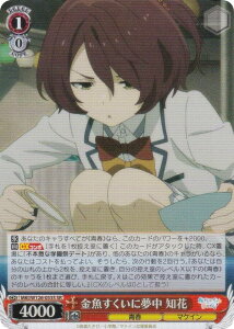 @CXV@c MKI/W126-053S ɖ m (SR X[p[A) u[X^[pbN qCI