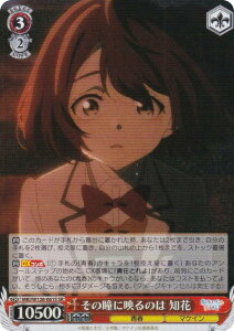 @CXV@c MKI/W126-061S ̓ɉf̂ m (SR X[p[A) u[X^[pbN qCI