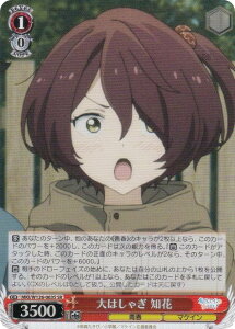 @CXV@c MKI/W126-063S ͂Ⴌ m (SR X[p[A) u[X^[pbN qCI