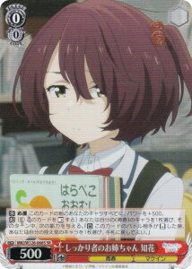 @CXV@c MKI/W126-066S ҂̂o m (SR X[p[A) u[X^[pbN qCI