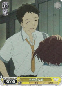 @CXV@c MKI/W126-T06R ʖؐTY (RRR gvA) gCAfbL qCI