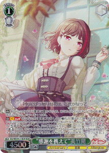 @CXV@c BD/WE49-21BDR gӂgāh| (BDR ohA) v~Au[X^[ BanG Dream! 10th Anniversary!