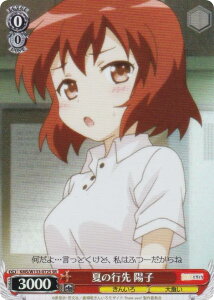 @CXV@c KMS/W133-072S Ă̍s zq (SR X[p[A) u[X^[pbN 񂢂냂UCN 15th Anniversary