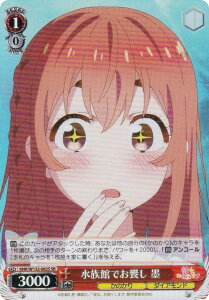 @CXV@c KNK/W132-062S قł n (SR X[p[A) u[X^[pbN ޏA؂肵܂ Vol.2