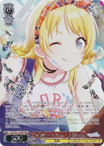 @CXV@c ISC/SE53-31WIR XaCFm {߂ (WIR EBOA) v~Au[X^[ ACh}X^[ VCj[J[Y