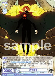 @CXV@cuE Eve/01B-005 V (R A) u[X^[pbN Eve `ZINGAI/Card Collection`