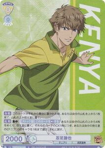 @CXV@cuE TNPR/01B-005 E (R A) u[X^[pbN VejX̉ql